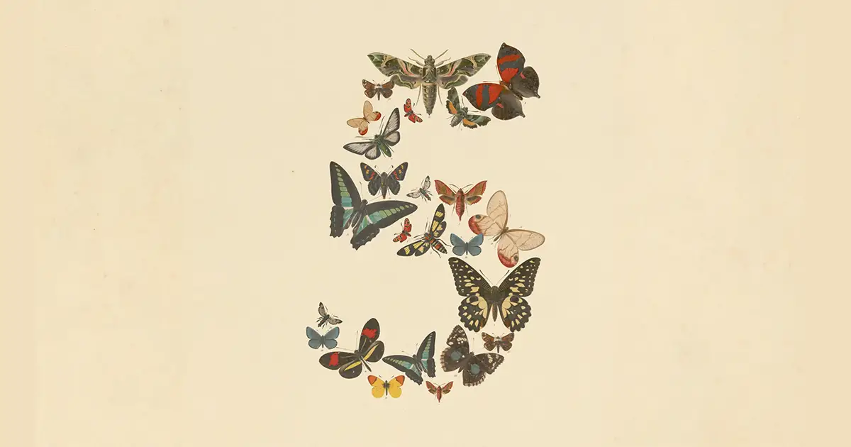 Vintage butterfly illustrations arranged in the shape of a numeral five on a cream background