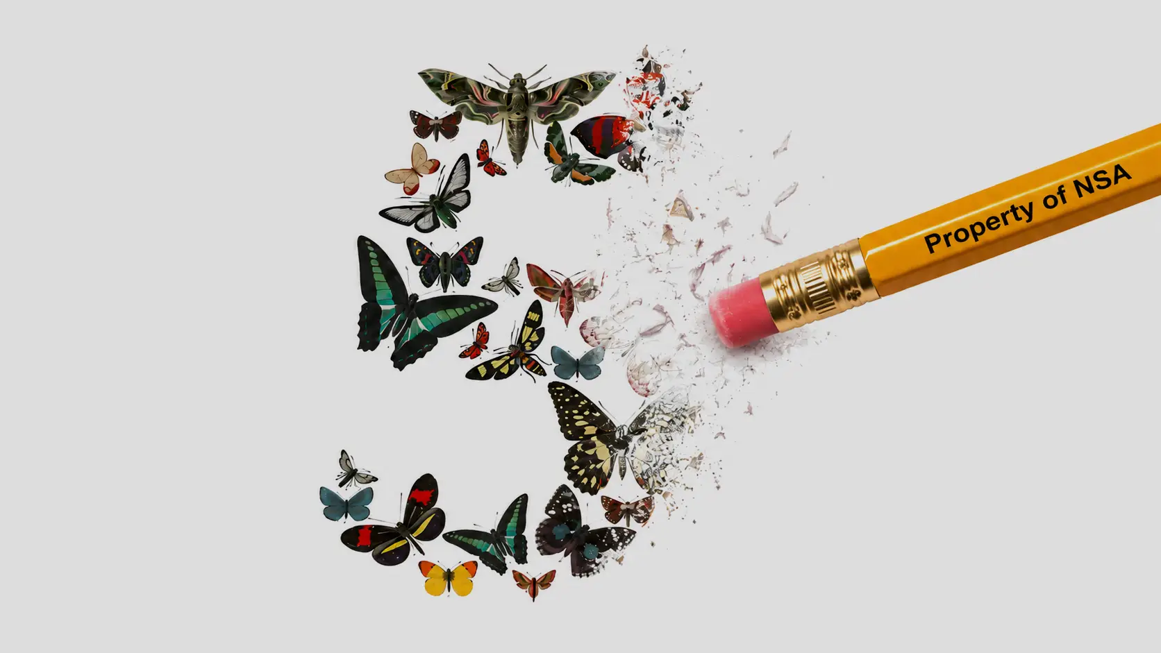 A numeral five formed from vintage butterflies dissolving into scattered fragments as a yellow pencil labeled Property of NSA erases it